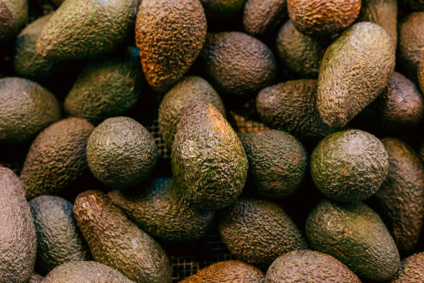 Fresh ripe avocados on display at food market stock photo