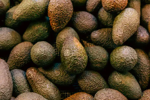 Photo of Fresh ripe avocados on display at food market