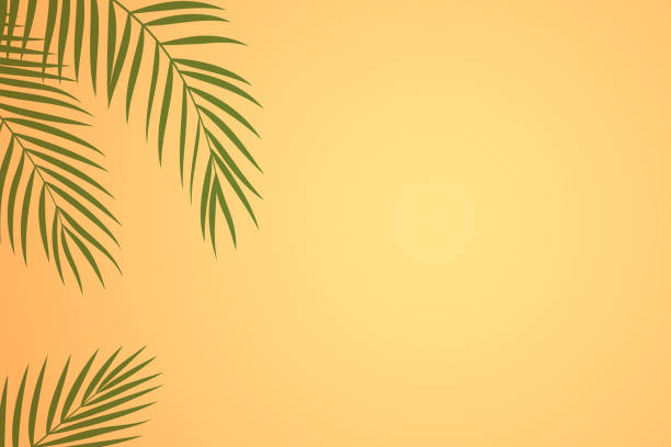 Abstract summer background with empty space Vector background with copy space. Carefully layered and grouped for easy editing. sable stock illustrations
