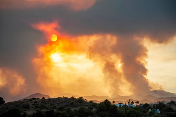 red sun in flames - wildfire smoke stok fotoğraflar ve resimler