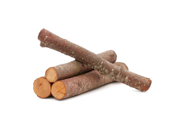 Pile of beech tree firewood isolated on white background, lumber industry