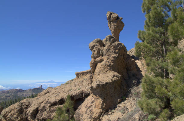 Gran Canaria, central mountainous part of the island, Las Cumbres, ie The Summits Gran Canaria, central mountainous part of the island, Las Cumbres, ie The Summits, landscapes around Pico de las Nieves, the highest point of the island sea population stock pictures, royalty-free photos & images