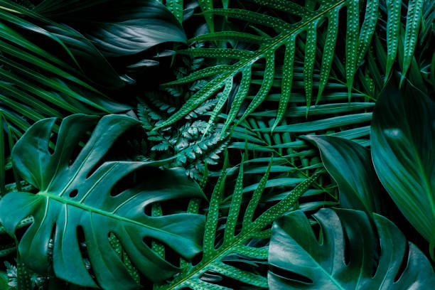 istock Abstract green leaves nature texture background. Creative layout for design 1383016120