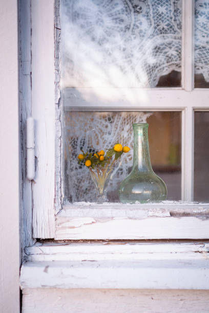 istock winter aconite in a small vase 1383016832