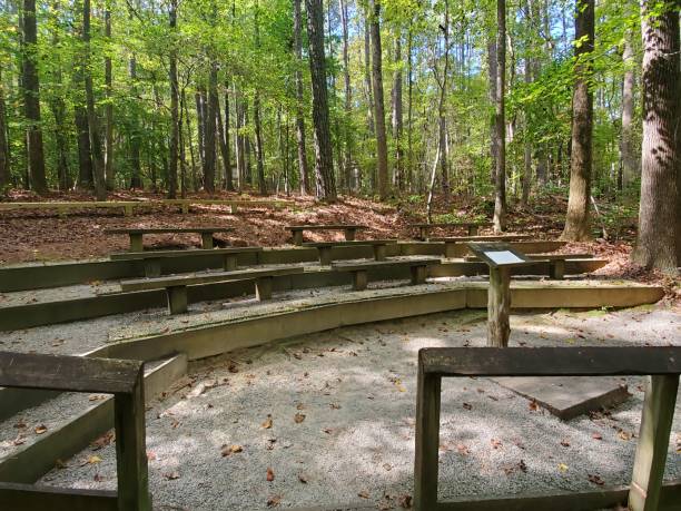 istock Amphitheater in the woods 1383018349