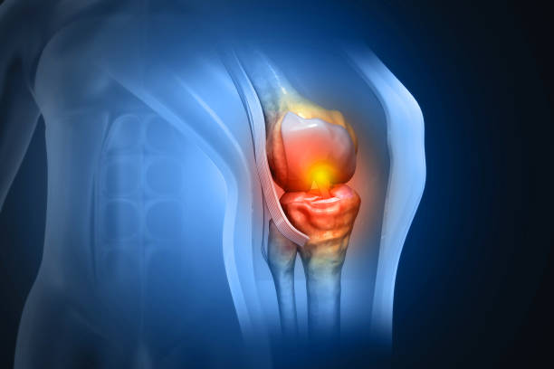 istock Human knee cross section on medical background. 3d illustration 1383023124