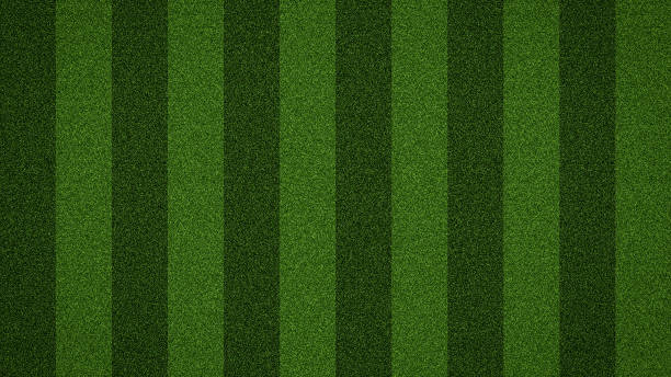 fondo de campo de fútbol verde hierba - soccer soccer field grass artificial turf fotografías e imágenes de stock