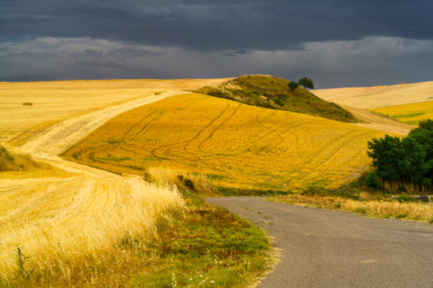 Country landscape in Basilicata along the road from Gravina in Puglia to Melfi, Potenza province, Italy