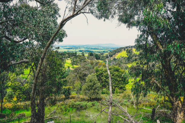 Aerial views from the summit of Mount Stanley in North East Victoria