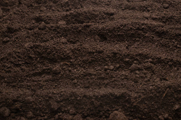 istock Black land for plant background. Top view. 1383032809