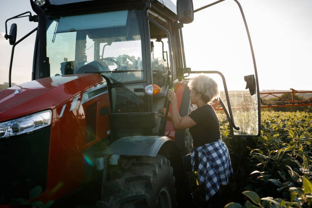istock Farmer going inside an agricultural truck in a field 1383036876