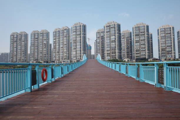 istock Plank bridge in Wetland Park 1383043446
