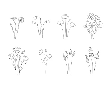 Set doodle wildflowers. Black and white with line art.