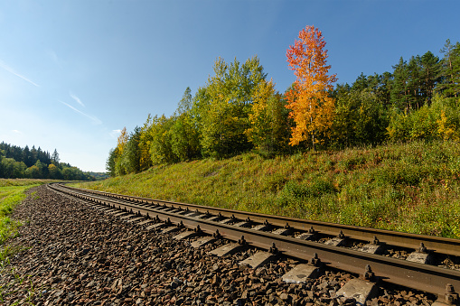 Railway in the autumn forest during the day.Beautiful autumnal nature