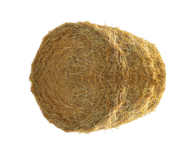 istock Dried hay bale isolated on white. Agriculture industry 1383045683