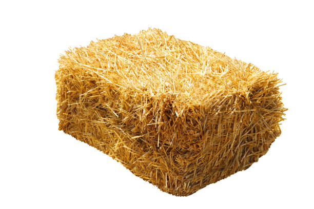 istock Dried hay bale isolated on white. Agriculture industry 1383045815