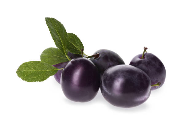istock Delicious ripe plums with leaves isolated on white 1383045998