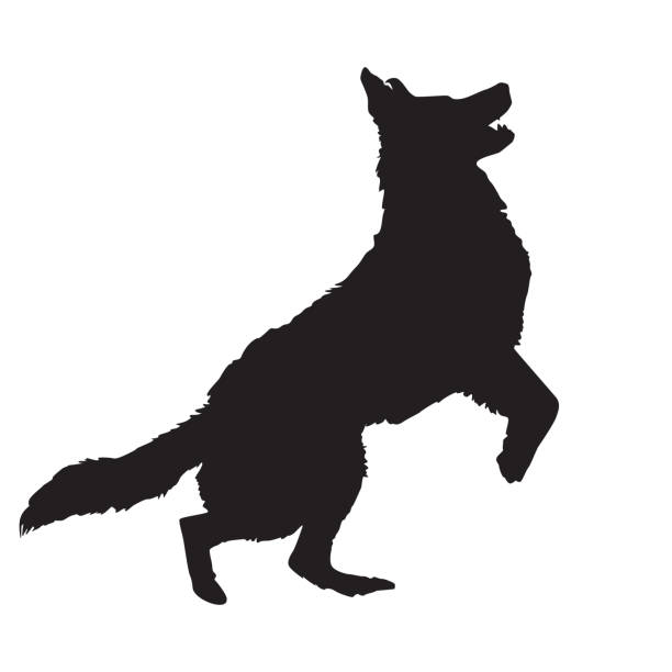 силуэт собаки выделен на белом фоне. домашняя собака прыгает черный значок. сторожевой символ. - dog mixed breed dog puppy white background stock illustrations