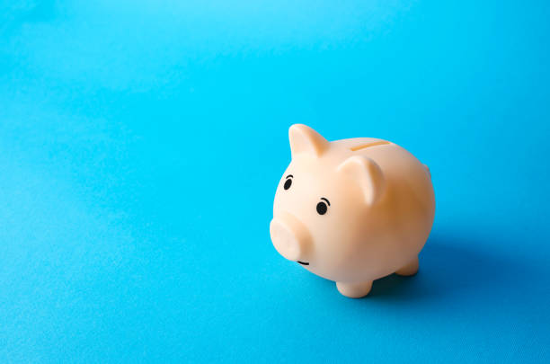 Piggy bank on a blue background. Economy. Pension fund. Deposit banking. Earn more money and save assets from inflation risks. Financial literacy, smart money management. Savings program Piggy bank on a blue background. Economy. Pension fund. Deposit banking. Earn more money and save assets from inflation risks. Financial literacy, smart money management. Savings program financial literacy stock pictures, royalty-free photos & images
