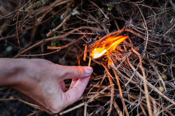 Photo of hand setting fire to dry grass and branches with a lighted match