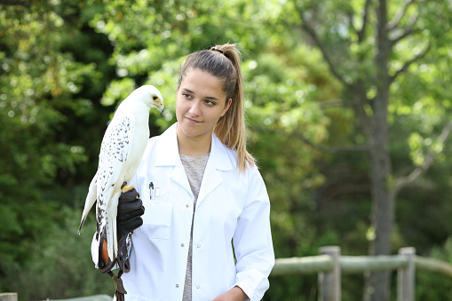 Veterinario que sostiene un halcón en la naturaleza photo