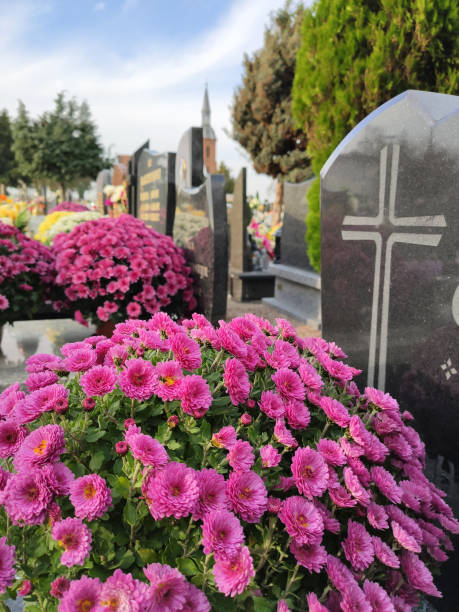 istock Pink flowers on the grave. 1383071749