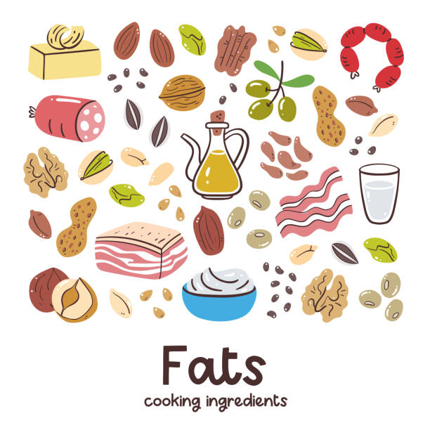 Fat Food Cooking ingredients High fat foods. Cooking ingredients collection. Dairy product, meat, nuts, olive oil. Healthy balanced diet. saturated fat stock illustrations