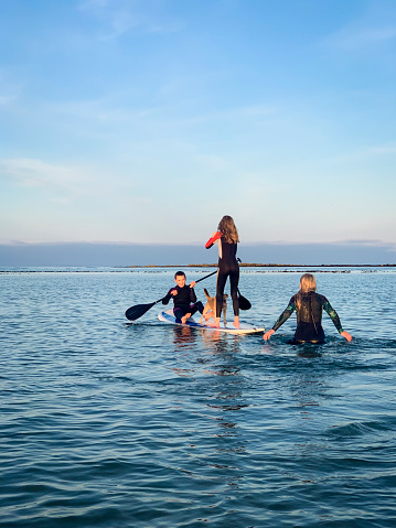 A family wearing wetsuits, paddle boarding in the sea at Beadnell, Northumberland. The girl is standing up while the boy sits down and paddles. Their pet patterdale terrier is on the paddle board with them.