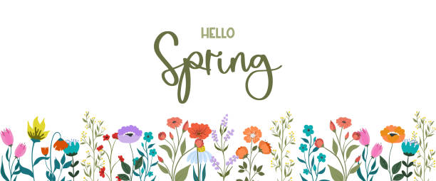 ilustraciones, imágenes clip art, dibujos animados e iconos de stock de estandarte o fondo floral decorado con flores y hojas en flor de colores brillantes en el borde inferior. ilustración botánica dibujada a mano para un fondo natural decorativo - cabeza de flor