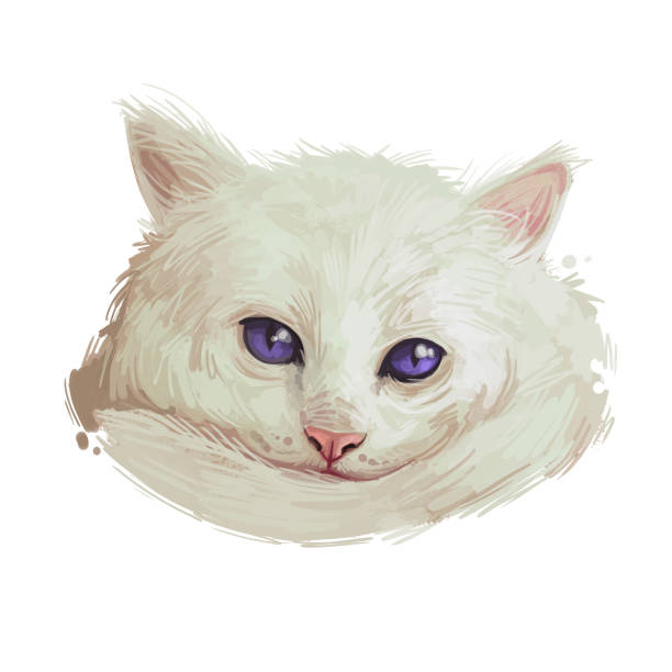 istock Domestic breed Aphrodite Giant cat isolated on white background. Digital art illustration of hand drawn kitty for web. Kitten long haired medium size, have white fluffy coat and blue eyes. 1383088562