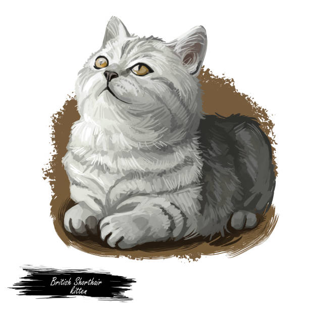 istock British Shorthair cat isolated on white background. Digital art illustration of hand drawn kitty for web. Short haired elegance kitten with dense and fluffy ashy grey shade of coat, yellow eyes. 1383088611