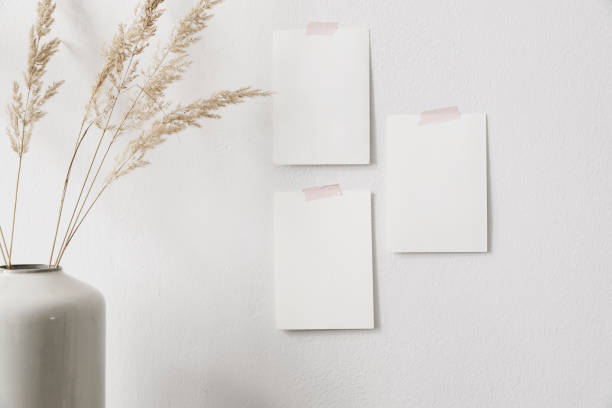 Closeup of blank greeting cards mockups taped on white wall.Modern summer, fall still life photo. Dry festuca grass in vase, blurred foreground. Boho home decor. Art display. Natural craft composition. stock photo