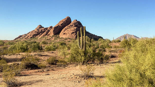 Sunset, Papago Park, Sonoran Desert, Arizona stock photo