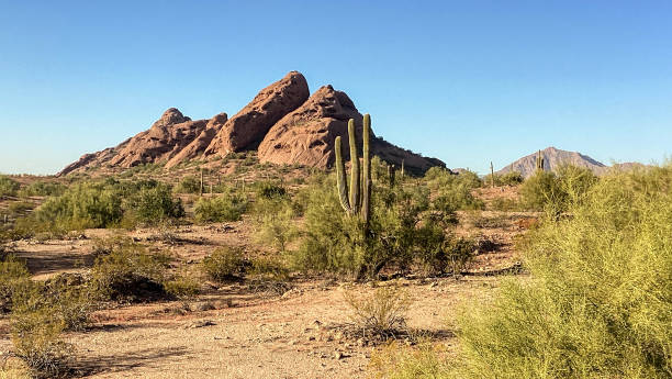 sunset, papago park, sonoran desert, arizona - papago - fotografias e filmes do acervo