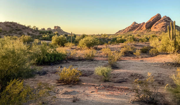 istock Sunset, Papago Park, Sonoran Desert, Arizona 1383094367