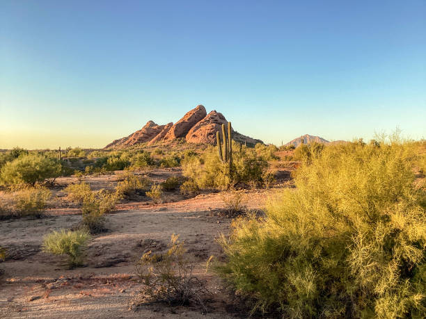istock Sunset, Papago Park, Sonoran Desert, Arizona 1383094384