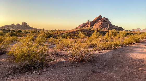Sunset, Papago Park, Sonoran Desert, Arizona.