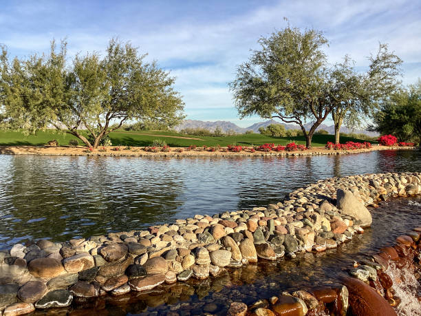 Desert Oasis, Sonoran Desert, Arizona