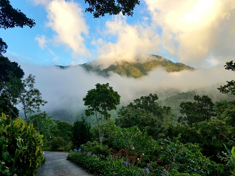Landscape picture with clouds and mountains deep inside Jamaica's Blue Mountains