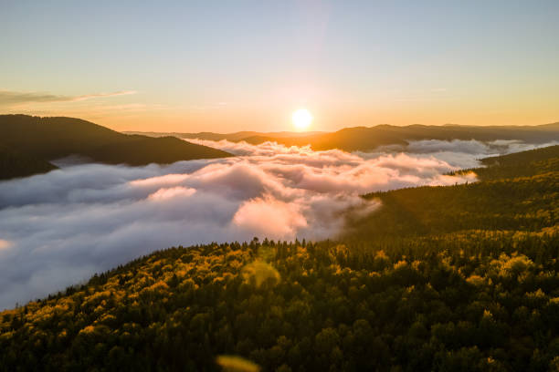 aerial view of foggy evening over dark pine forest trees at bright sunset. amazingl scenery of wild mountain woodland at dusk - pine sunset night sunlight imagens e fotografias de stock