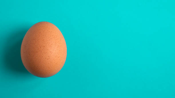 istock Brown spotted chicken egg on a blue background. Copy space. Flat lay. Minimal concept. 1383099913