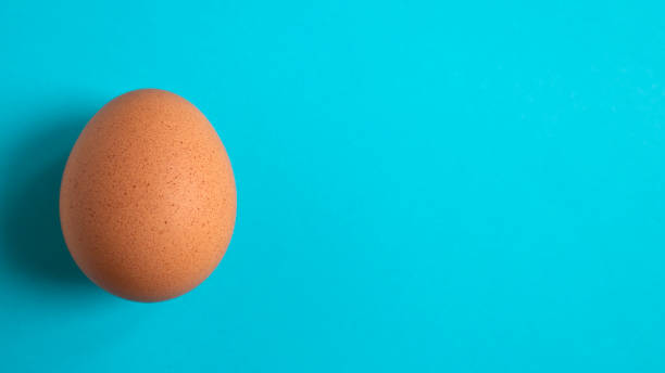 istock Brown chicken egg on a blue background. Copy space. Flat lay. 1383099923