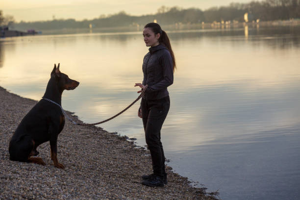 istock Girl with dog 1383104746