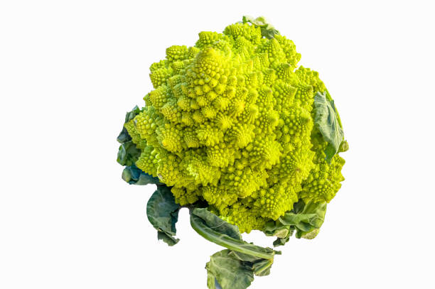 istock Fresh broccoli romanesco on a white background. Isolated. 1383107248