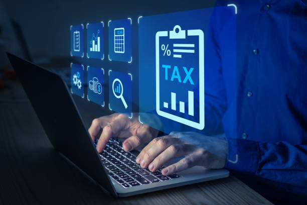 Person filling tax form on computer. Reductions, deductions and exemptions. Accountant and financial advise to lower taxation rate. stock photo