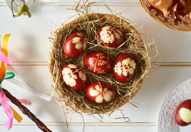 istock Easter eggs dyed with onion peels with a pattern of fresh plants on white background 1383112601