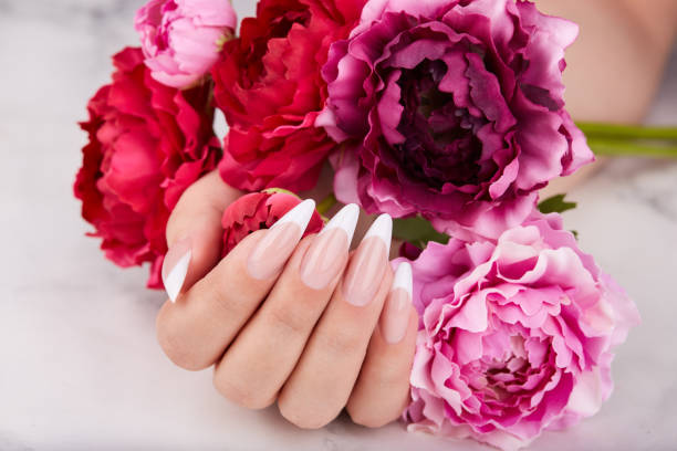 istock Hand with long artificial French manicured nails red Aster flower 1383113599