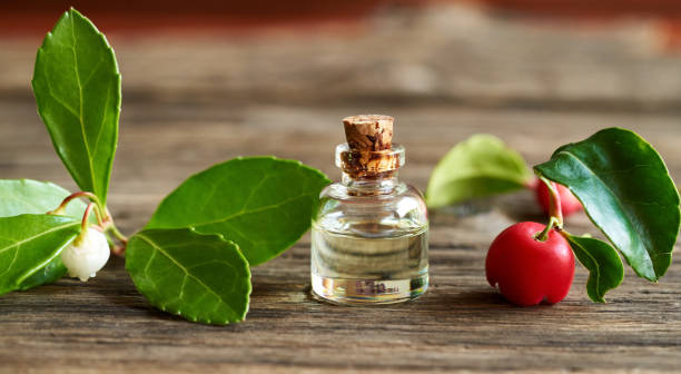 una botella de aceite esencial de wintergreen con ramitas de gaulteria - wintergreen fotografías e imágenes de stock