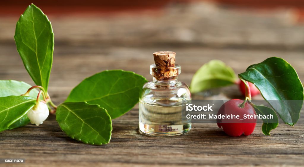 A bottle of wintergreen essential oil with wintergreen twigs A bottle of aromatherapy essential oil with wintergreen leaves and berries on a wooden table Gaultheria Procumbens Stock Photo