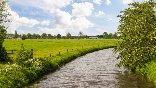istock River flows through the meadows in the countryside. 1383116183